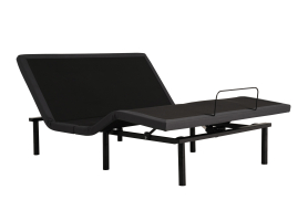 Baselogic Gold Queen Adjustable Bed
