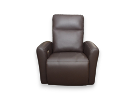 Power Headrest/Lumbar Glider Recliner